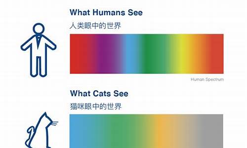 猫咪眼中的主人颜色是什么_http://jingxuanwang.com_林园自然_第1张
