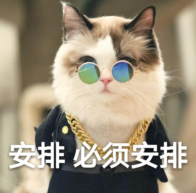 猫咪的正确剪指甲方法_http://jingxuanwang.com_信息发布_第1张