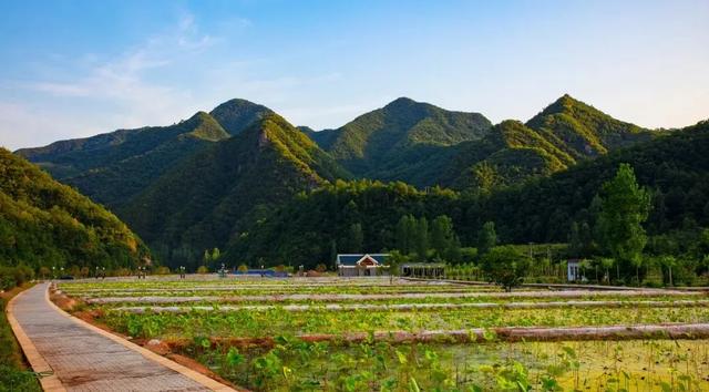 春节洛阳栾川自驾游攻略_http://jingxuanwang.com_信息发布_第1张