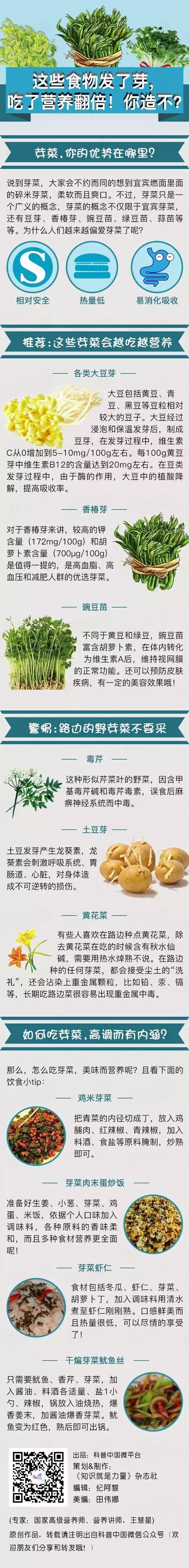 芽菜的营养价值_http://jingxuanwang.com_信息发布_第1张