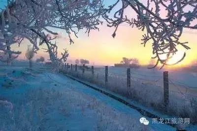 大庆湿地温泉介绍_http://jingxuanwang.com_信息发布_第1张