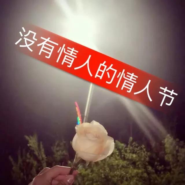 没有情人的情人节孟庭苇歌词_http://jingxuanwang.com_信息发布_第1张